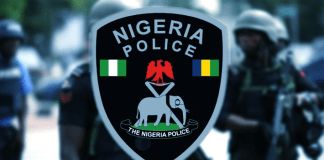 Police arrest man for allegedly raping five-year old girl in Gombe