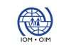 IOM records 22% increase in people displaced in Haiti