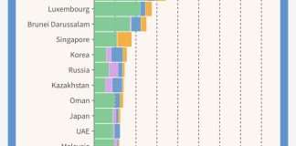 US, Qatar, Saudi Arabia, UAE, others heavily subsidise fuel prices -Report