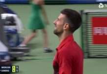 Djokovic saves set points to deny brave Michelsen in Shanghai