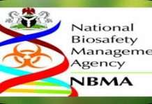 Stakeholders say GMOs deprive the right to safe food