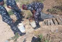 Police recover eight unexploded devices in Borno