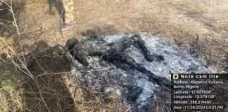 MNJTF troops eliminate 15 ISWAP terrorists in Kukawa, Borno