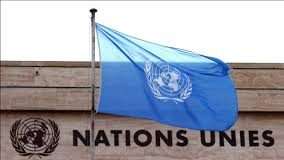 Nigeria seeks support of West African countries for UN security council seat