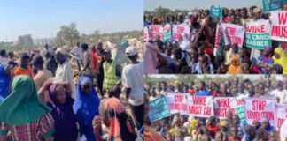 “Wike must go” protest rocks Abuja over mass demolition of homes