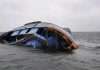NEMA recovers 54 bodies from scene of capsized boat; many more remain missing