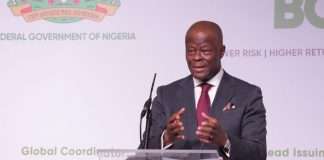 $20bn extra required yearly to achieve 2027 target for the economy – Edun
