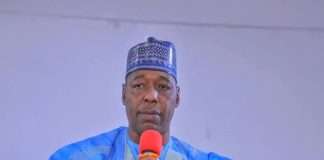 Zulum approves rehabilitation of State Agriculture College