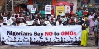 Stakeholders rally nationwide against GMOs