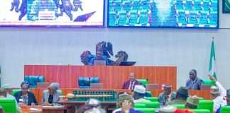 2025 budget: House of Reps moves to improve funding for NiMC, NYSC, NDA