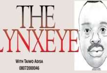 Should lawbreakers make laws for you and I? By Taiwo Adisa