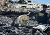 LA fires death toll rises to 24 as high winds expected
