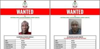 NDLEA declares four members of a drug cartel wanted