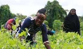 Women farmers say Nigeria faces severe hunger with proposed budget to agriculture