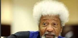 US revokes Wole Soyinka’s visa, Nobel Laureate speaks out Soyinka berates "excessive" security escort for Tinubu’s son
