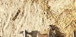 Troops eliminate terrorists, crush bandits’ strongholds in Borno, Zamfara, and Sokoto