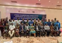 Nigeria to roll out comprehensive national carbon market policy soon, says NCCCS