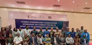 Nigeria to roll out comprehensive national carbon market policy soon, says NCCCS