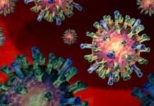 Over 130 cases reported in measles outbreaks in the US