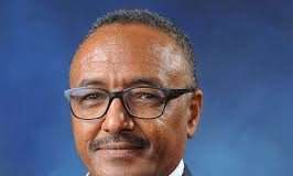 Why Are The Steps Of Peace Lame Towards Sudan? Sami Saeed (PhD), Vice President of the ANCL