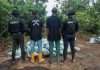 NSCDC arrests two crude oil thieves in Abia