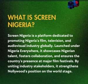 What is Screen Nigeria?