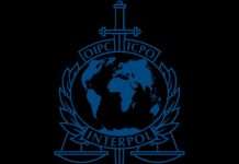 INTERPOL arrests 36 in Nigeria criminal raid, recovers $3m