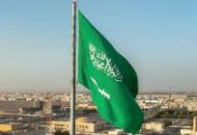 Our stand on establishment of Palestinian State, firm and unwavering – Saudi Arabia