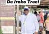 And Ken Died! By Nwachukwu Ngige