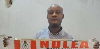 Angolan arrested at Kano Airport with 120 ingested wraps of cocaine