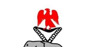 Police rescue kidnapped victims in Bayelsa, Adamawa