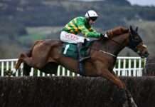 Race horse Corbetts Cross dies after fall in Cheltenham Gold Cup
