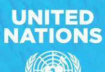 Global AI market to reach $4.8trn by 2033, impact 40% of jobs -UN