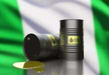Can a Shell Veteran Navigate Nigeria’s Oil Sector Transformation? Omono Okonkwo