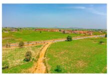 Developer redefines land investment in agriculture in FCT