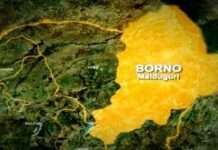 Improvised Explosive Device kills nine persons at Borno bus stop