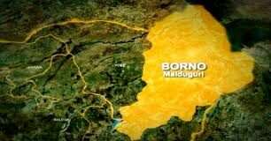 B’Haram bomb kills eight passengers in Borno