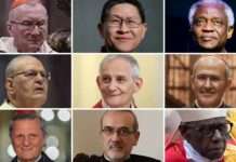 Who will be the next pope? Some potential candidates to succeed Francis, By Harriet Sherwood