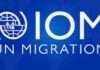 IOM reaffirms commitment to partnering media, other stakeholders to address Nigeria’s migration challenges