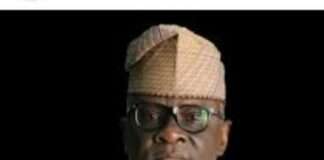 Why South West Development Commission may not succeed! Senator Adetumbi, Akinola, please note, By Wale Ojo-Lanre