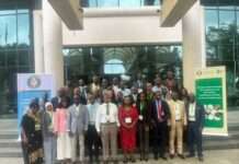 ECOWAS moves to combat drug abuse in West Africa