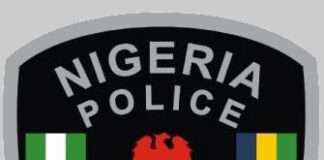 Police nab native doctor, recover arms, ammunition from shrine Police detain 398 suspected criminals in Kaduna