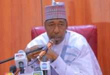 Zulum condemns terrorist attack on night fish market