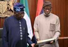 Tinubu’s mining reforms attract $800m investment — Dele Alake