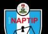 NAPTIP, others launch manhunt for child pornography ring
