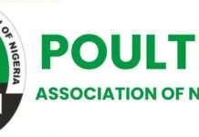 Poultry farmers blame middlemen, raw materials for consistent price hikes
