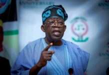 2025 budget: NEFGAD writes President Tinubu, BPP over N6.9trn projects "Asiwaju Tinubu leads the charge", ready to visit Benue on Wednesday over killings