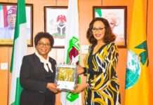 Nigeria reaffirms commitment to democracy on Africa’s continent