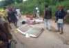 Speeding vehicle kills four tricycle passengers in Ogun