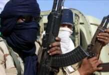 Gunmen shoot, abduct passengers on Enugu/Port Harcourt expressway